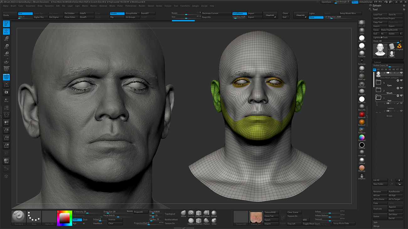 Realistic head sculpt in Zbrush